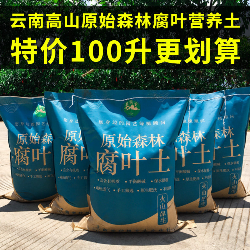 云南腐叶土松针腐殖营养土100升包邮绿植多肉花卉种菜种植培养土