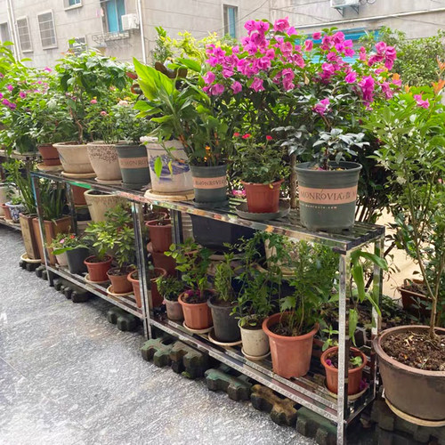 不锈钢阳台户外防腐花架双层单层多层置物架多肉兰花特价花盆架子
