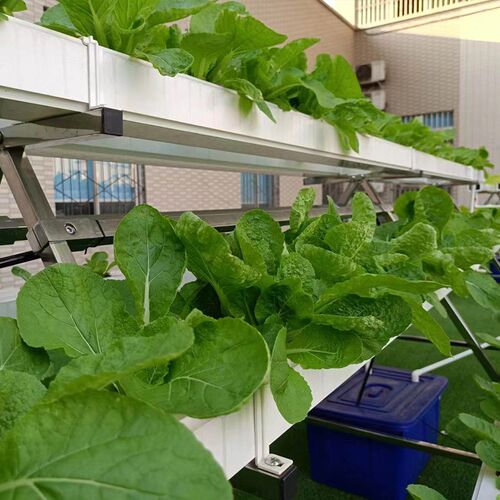 NFT无土栽培蔬菜草莓种植A字架水培设备阳台管道种菜机源头工厂店
