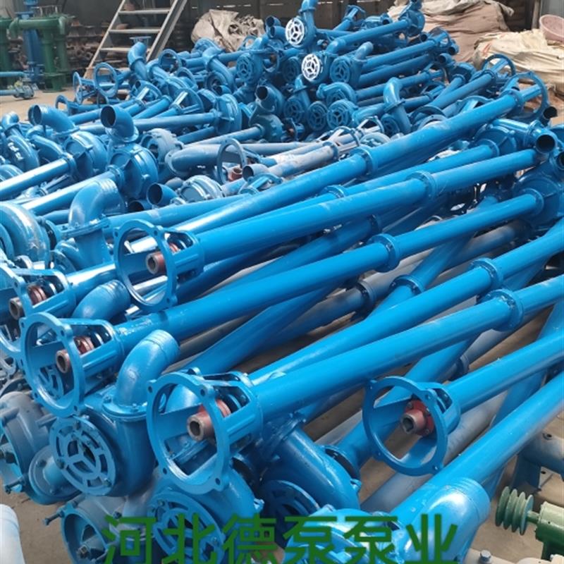 NL立式杆泵抽粪泵可加长2寸3寸4寸泥浆泵污水泵排污养殖场抽粪泵