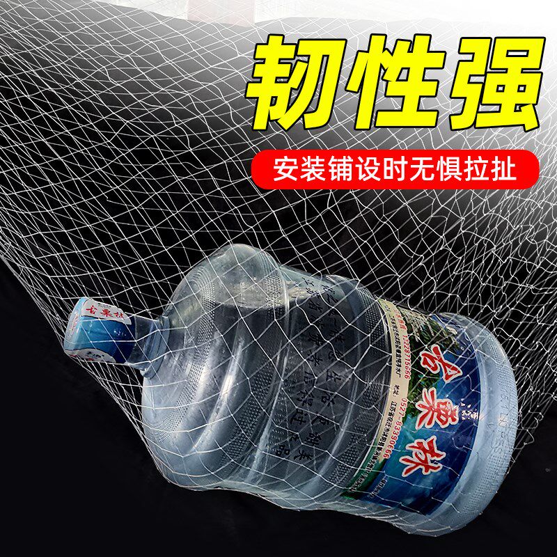 鱼塘防鸟网大网眼尼龙综丝纱网防鸟用的网泥鳅塘天网养殖网螃蟹网