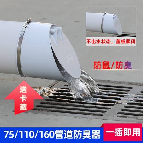 110排水管防臭器pvc160 排污管下水道污水井化粪池防虫防鼠防蛇器