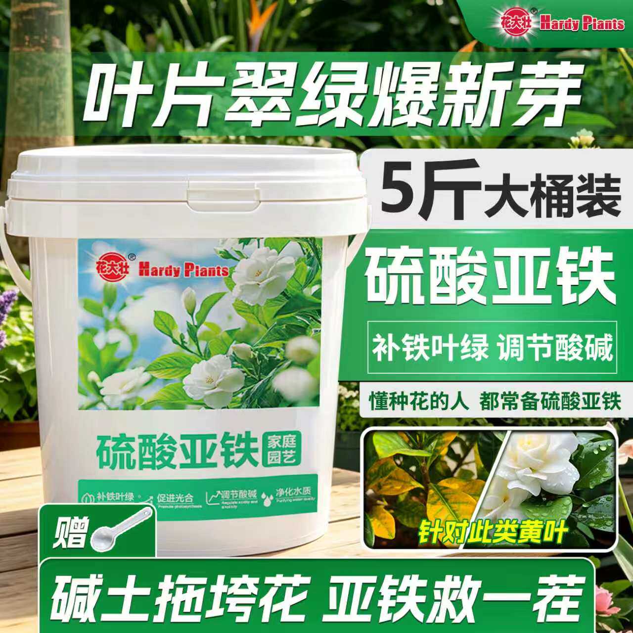硫酸亚铁肥料花卉专用5斤防黄叶土壤调酸性补铁绿叶通用水溶肥