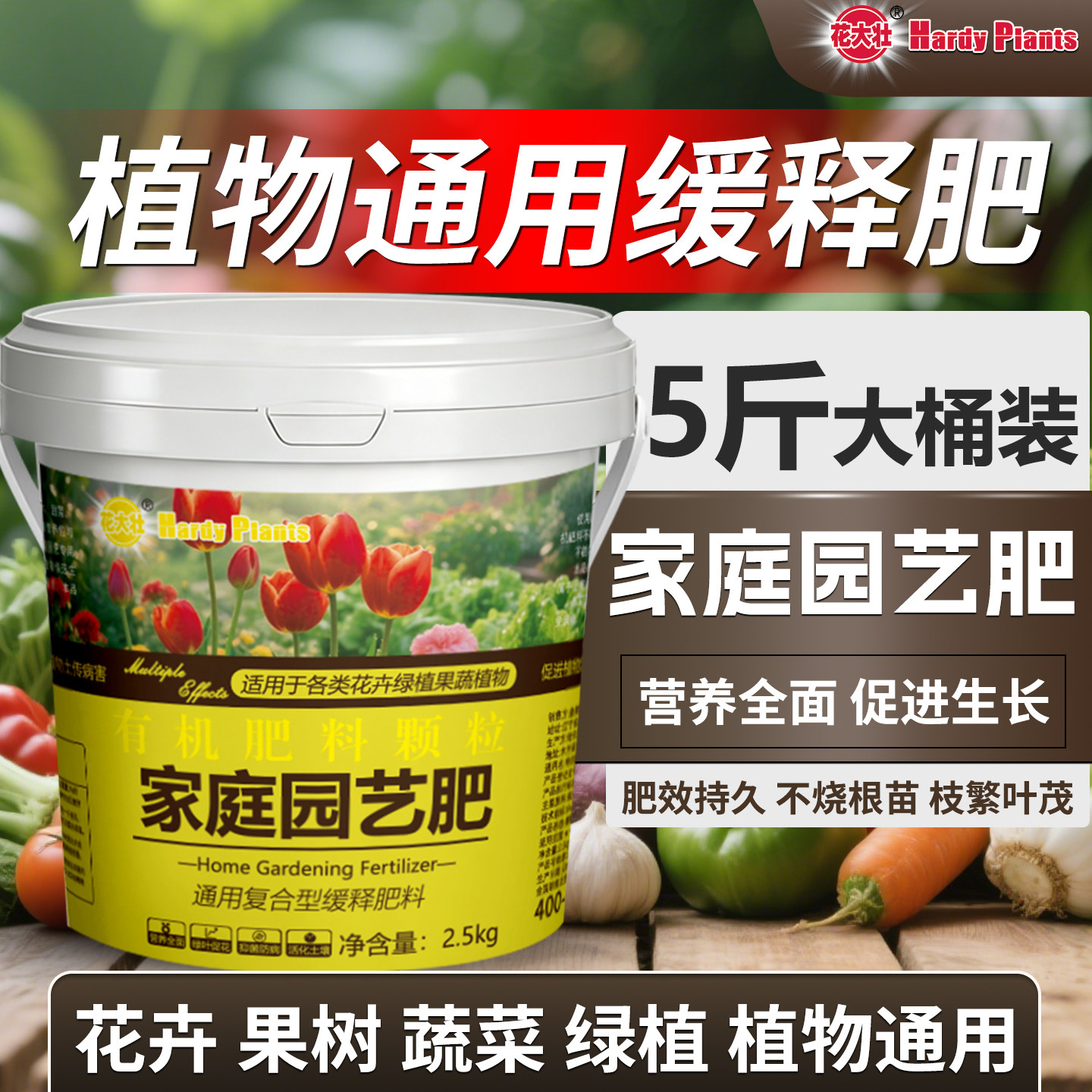 花大壮家庭园艺肥5斤大桶