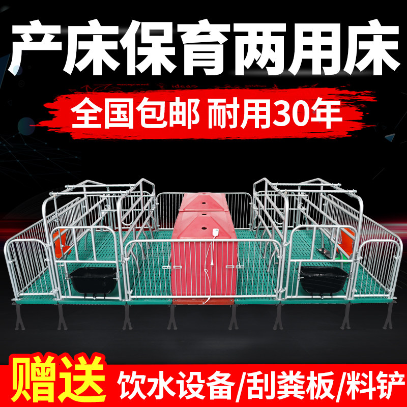 母猪产床热镀2.5产保一体两用床定位栏单双体保育床养猪设备包邮