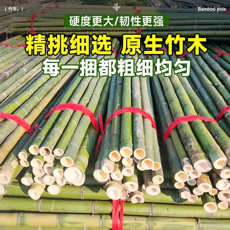 豆角架杆竹竿菜园搭架黄瓜番茄爬藤架葡萄架小竹子细竹竿篱笆栅栏