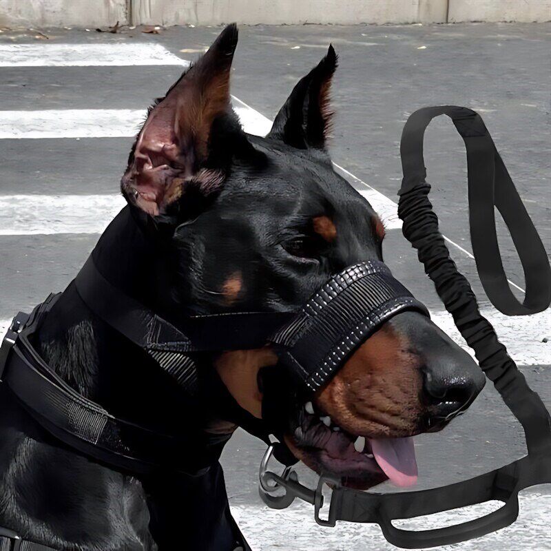 狗嘴套杜宾战术嘴套防爆冲牵引训练大狗口套牧马德犬工作犬猎犬训