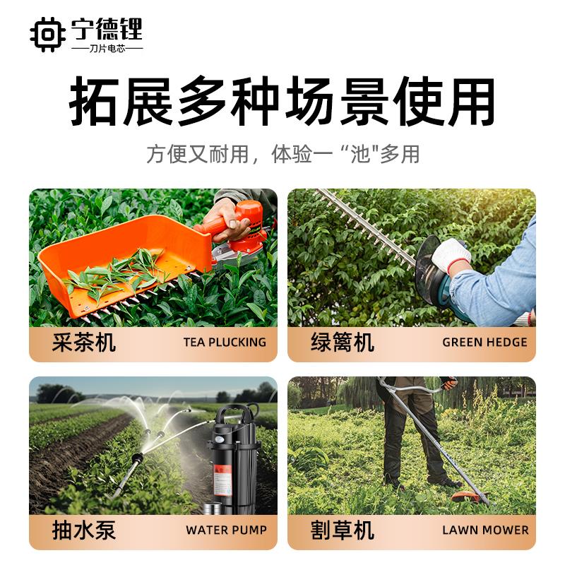 电动割草机大功率24V48V锂电池采茶机打草机专用背负式大容量电池图片