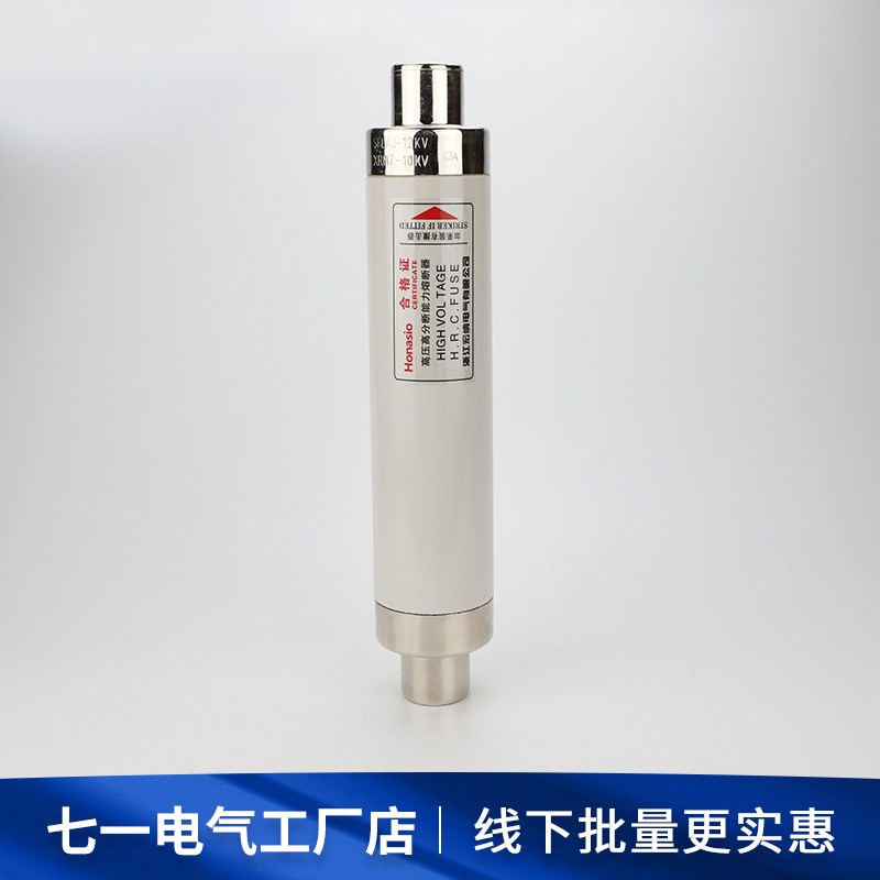 高压限流熔断器XRNT10-12KV10A20A40A50A63安80A100A箱变保险管丝