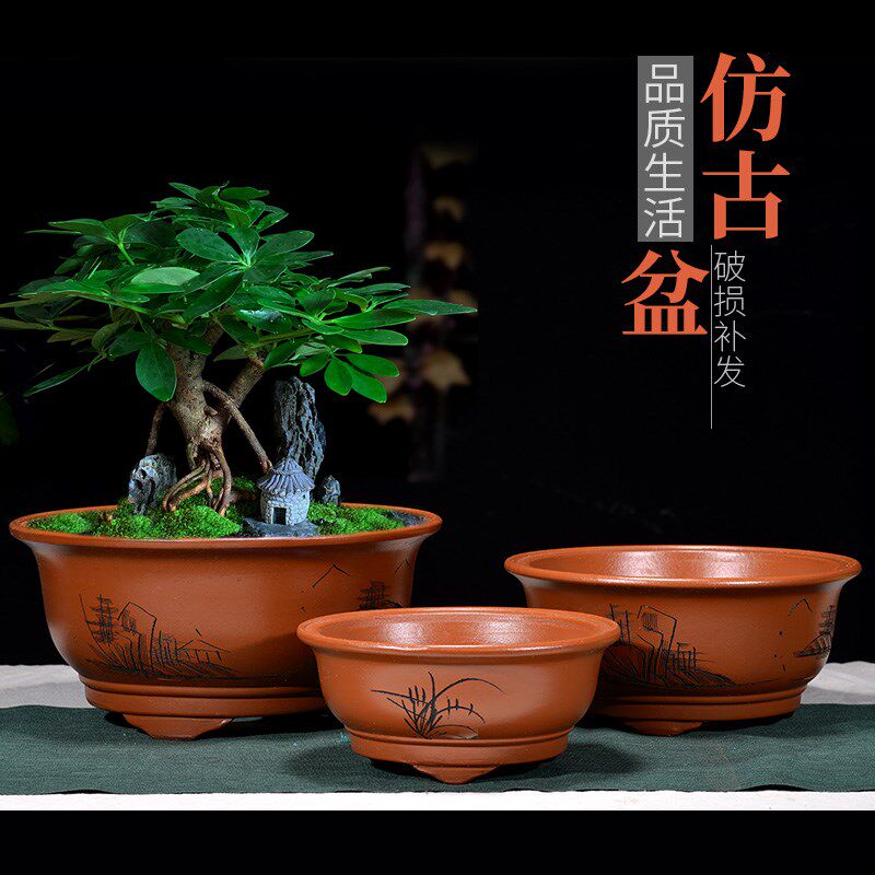 陶瓷紫砂花盆 兰花花盆特大号陶瓷 阳台种菜盆栽花卉盆景特价包邮