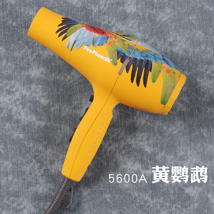 静音电吹风家用风筒火之凤吹风机5600a 正品发廊理发店发型师专用