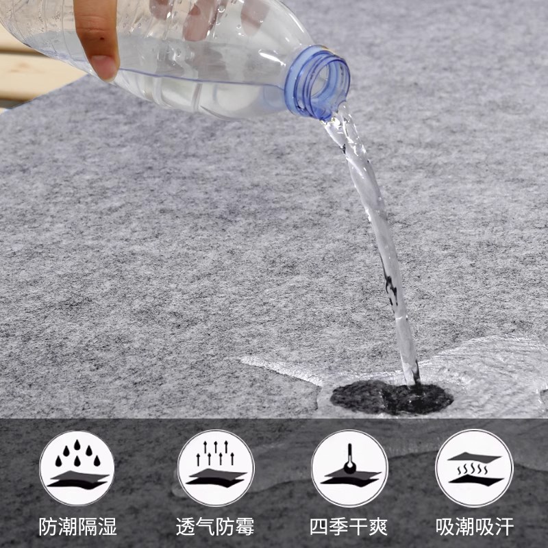 防潮垫床上用吸湿床垫学生宿舍单人床榻榻米防湿防霉褥子铺地垫子