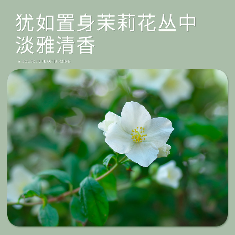 汽车内饰品茉莉花香车载香薰熏香高级淡香水持久专用高档除异味男