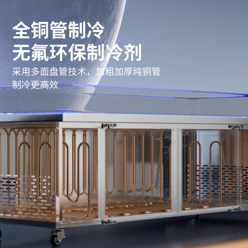 不锈钢拉门冰台冷藏展示柜商用海鲜急冻台点菜柜卧式保鲜冷冻柜