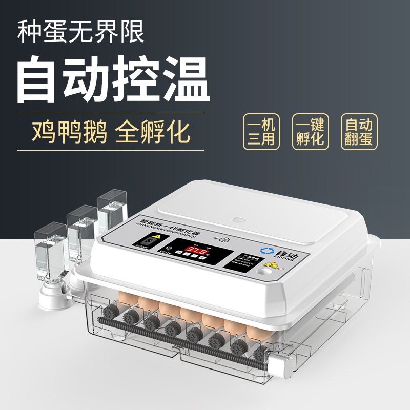 芦丁鸡孵化器小型家用全自动智能孵蛋器孵化机小鸡鹦鹉鸟蛋孵化箱