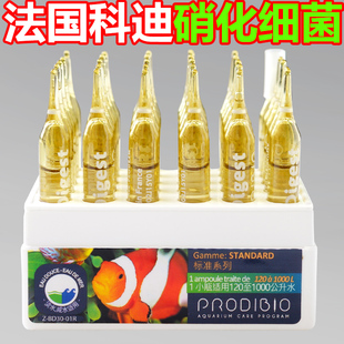 硝化细菌水族 科迪浓缩活性硝化菌淡海水鱼缸净水剂白点微量元素