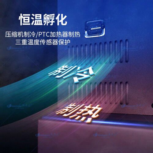 90-760升0.1乌龟蛇类守宫等爬行动物孵化冬化箱昆虫恒温饲养箱