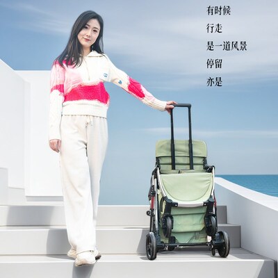 小官人轻便旅行可上飞机载成人口袋车可坐可躺睡觉小推车婴儿推车