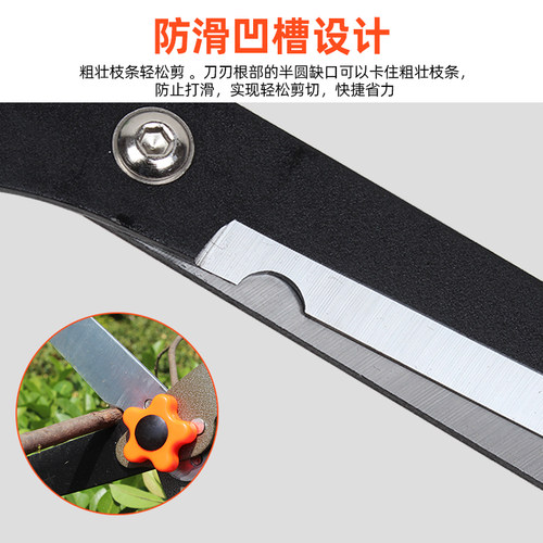 园艺剪刀绿篱剪家用草坪绿化修剪树枝花木草剪强力园林大剪刀伸缩