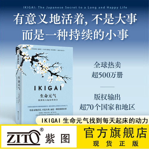 生命元气:找到每天起床的动力 一部关于如何寻找生活意义的全球现象级畅销书 为你提供切实可行的生活方法与指南 人生励志正能量书