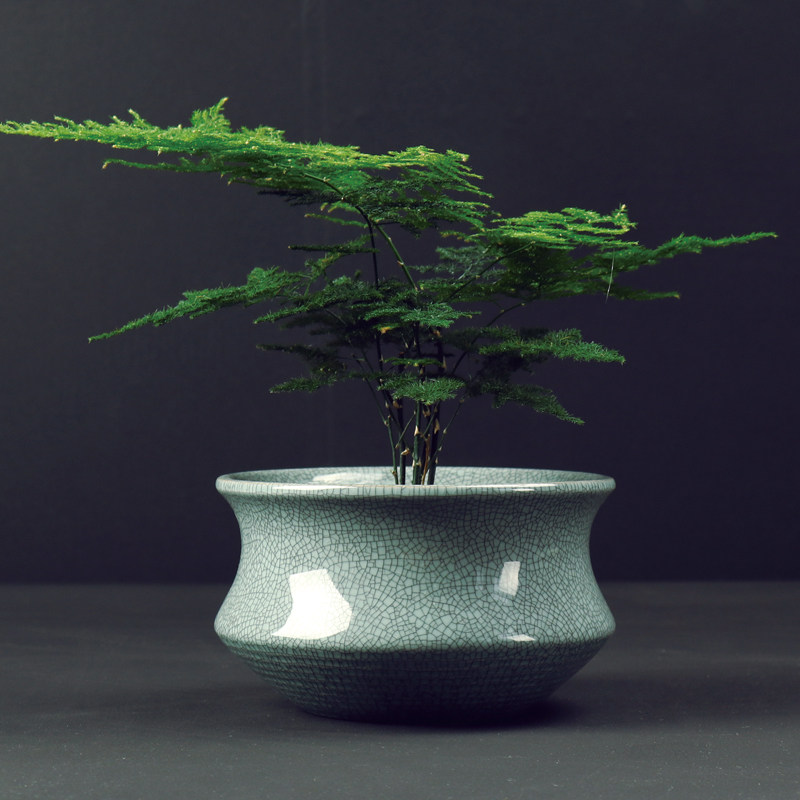 陶瓷花盆蝴蝶兰花盆大口径青瓷哥窑桌面文竹绿植专用盆发财树盆景