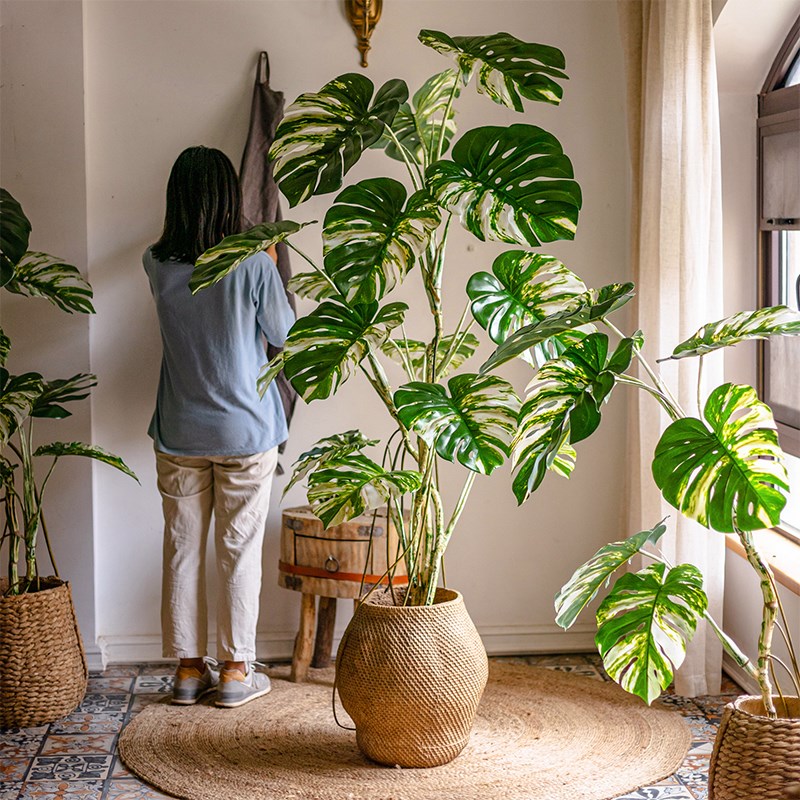 彷真绿色植物龟背芋阳台大型植物盆景客厅办公室室内落地假树装饰