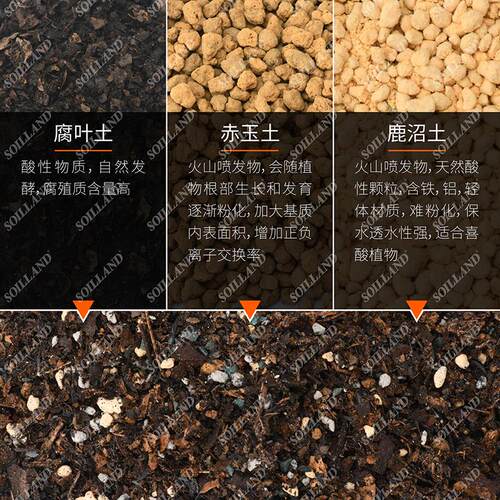 君子兰家用营养土家用园艺盆栽花卉植物配方土养花种花颗粒型花土