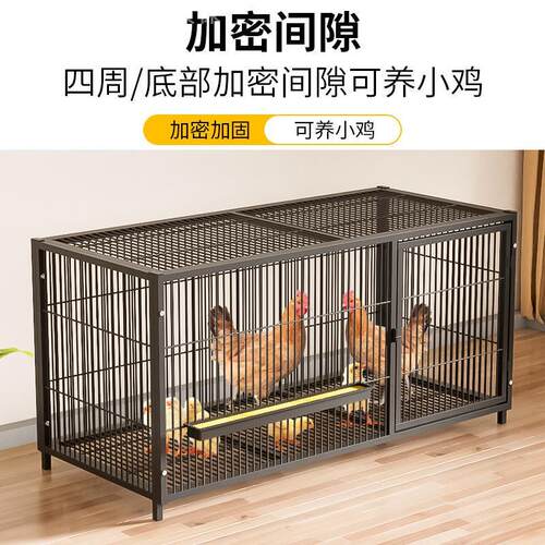 加粗大号养殖笼折叠鸭笼鹅笼狗笼自动滚蛋鸡笼农村自动清粪鸡笼子