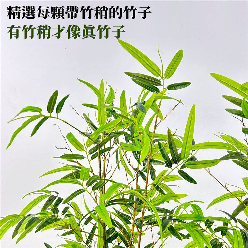 仿真竹子室内外专用造景围栏装饰假竹子室内隔断屏风装饰竹子摆件