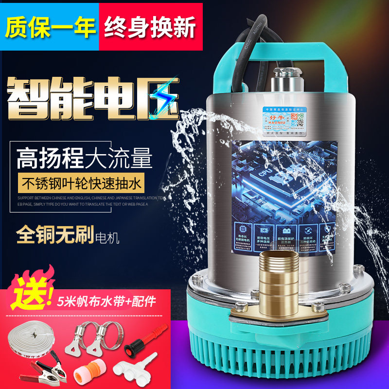 直流潜水泵高扬程农用无刷抽水泵大流量电瓶车家用手动灌溉抽水机