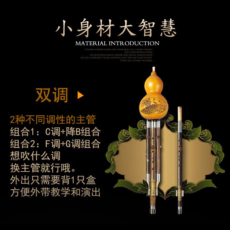 云新双调组合葫芦丝专业演奏型降b调c调小学生专用初学者吹奏乐器