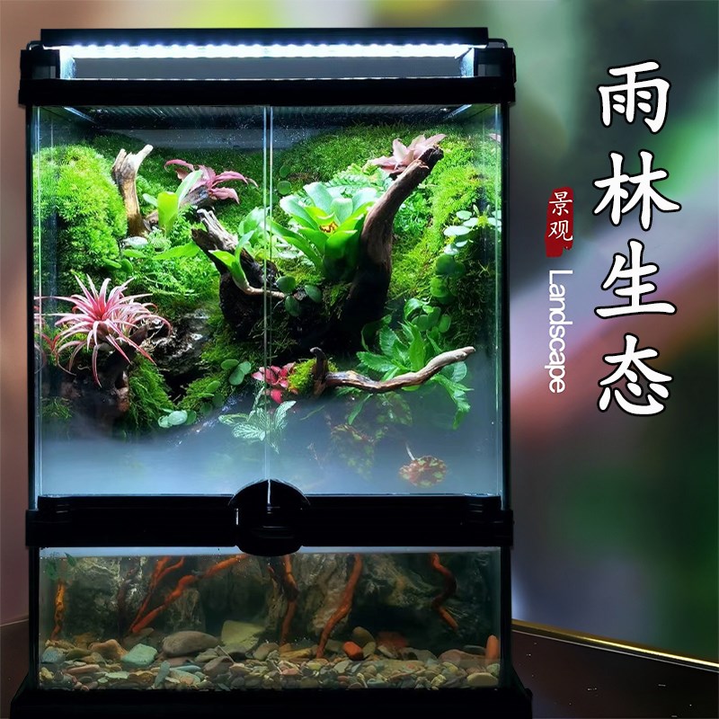 成品雨林生态缸造景热带植物苔藓微景观自动喷淋雾化灯光顺丰包邮