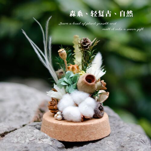 永生花棉花植物干花玻璃罩生日礼物桌面摆件教师节母亲节礼品装饰