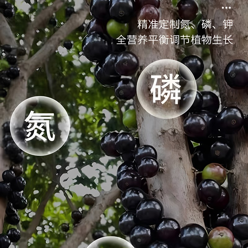 嘉宝果专用肥树葡萄增产增甜珍宝果营养液有机复合肥颗粒缓释肥料
