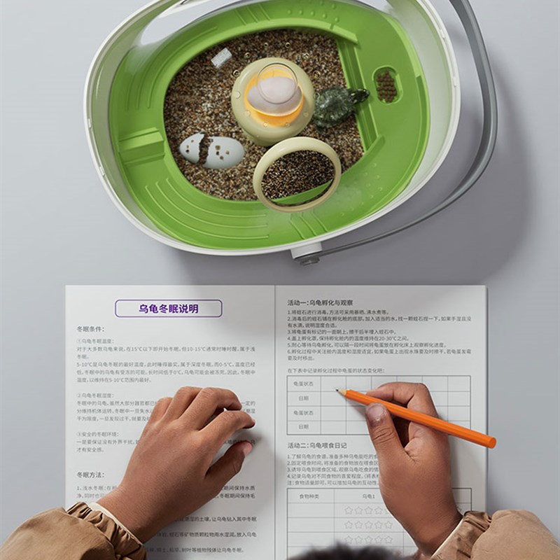 乌龟蛋可孵化成长仓活物爬台晒台专用乌龟缸宠物饲养箱小龟别墅盒