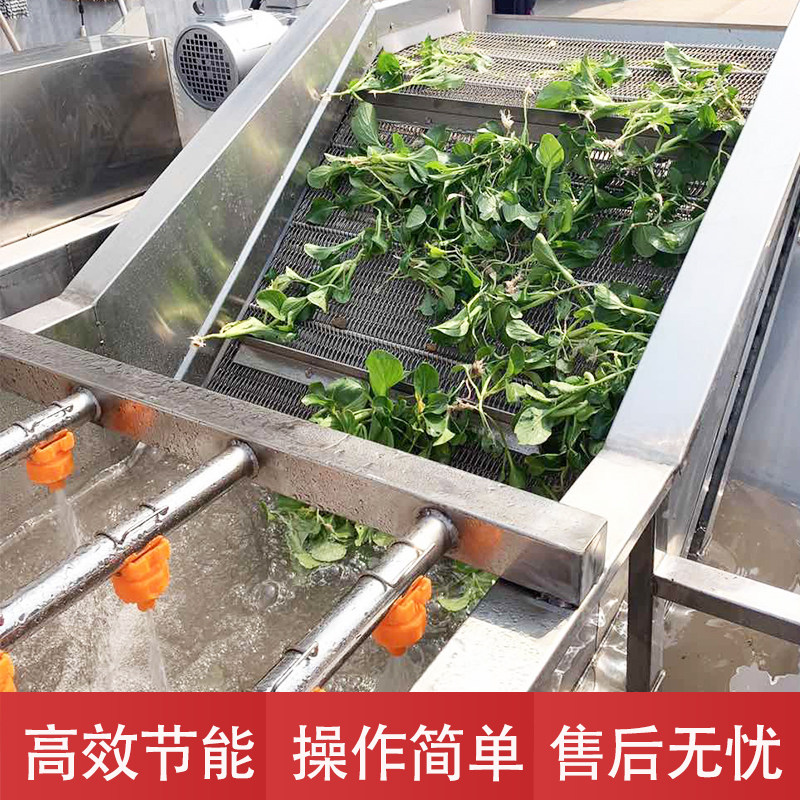 洗菜机商用大型全自动果蔬清洗流水线多功能去农残蔬菜气泡消毒机