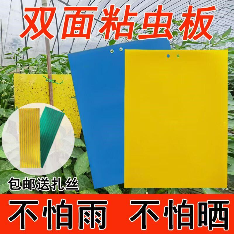 粘虫板黄板双面粘虫板诱虫板蓟马蓝板大棚茶园果树白粉虱粘虫板