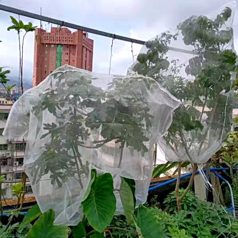防虫网罩樱桃杨梅蓝莓果树防鸟防果蝇防蚊袋透气透光带绳子抗老化