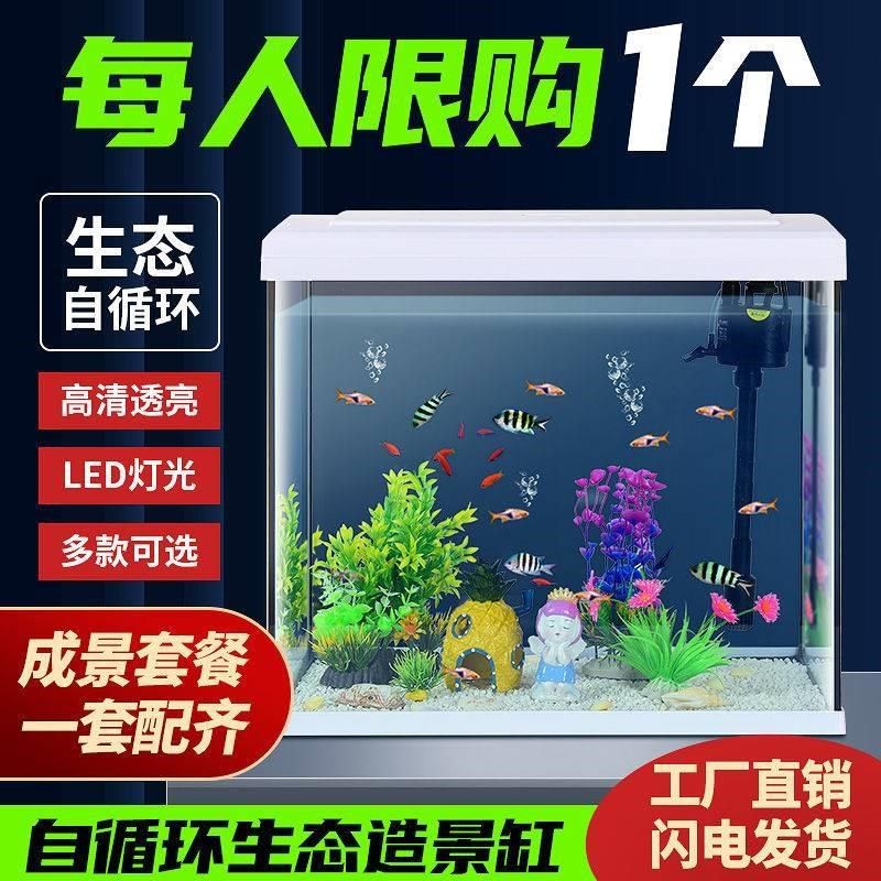 新疆包邮鱼缸免换水客厅金鱼缸家用懒人桌面玻璃造景创意生态中小