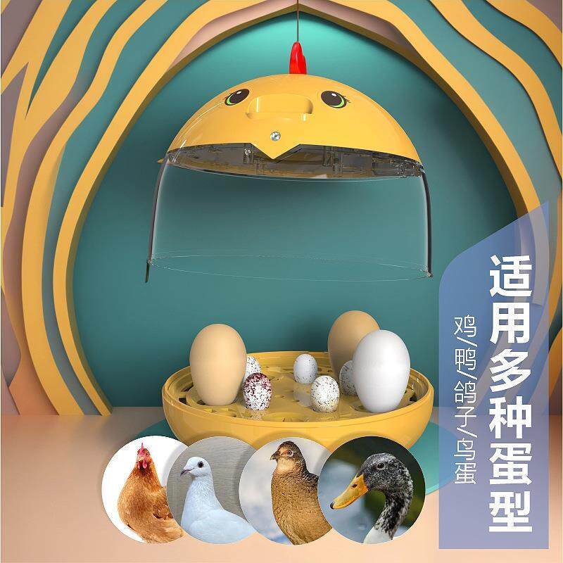 鹦鹉专用孵蛋器迷你自动控温儿童孵蛋机科教实验芦丁鸡小鸡孵化箱