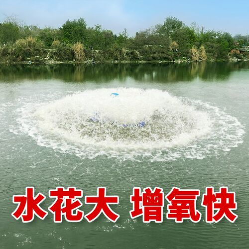 增氧机鱼塘专用鱼池池塘增氧泵水产养殖养鱼变频220V大功率不锈钢