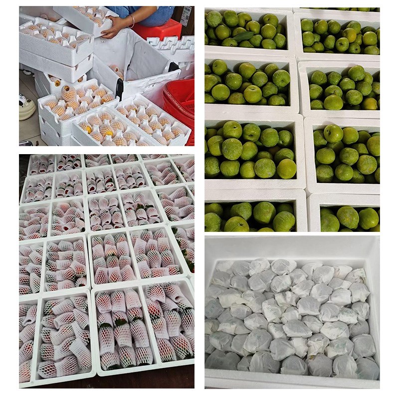 冷藏保鲜泡沫箱快递专用生鲜水果冻品保温邮政345678号运输箱