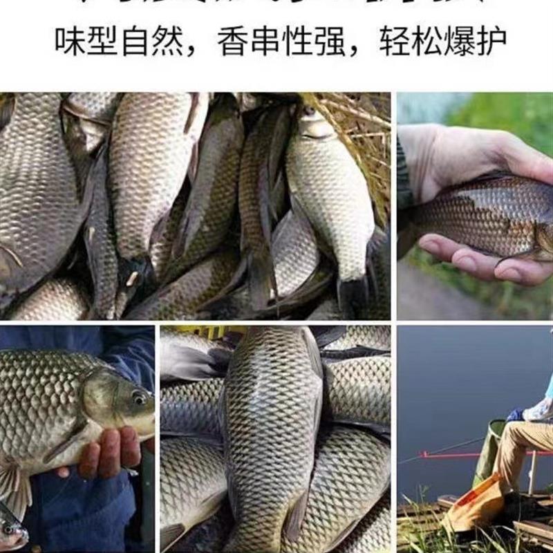 过江风饵料饵料野钓专用正品浓腥黑坑钓鲫鱼草鱼鲢鱅鲤鱼四季通用 - 实物图