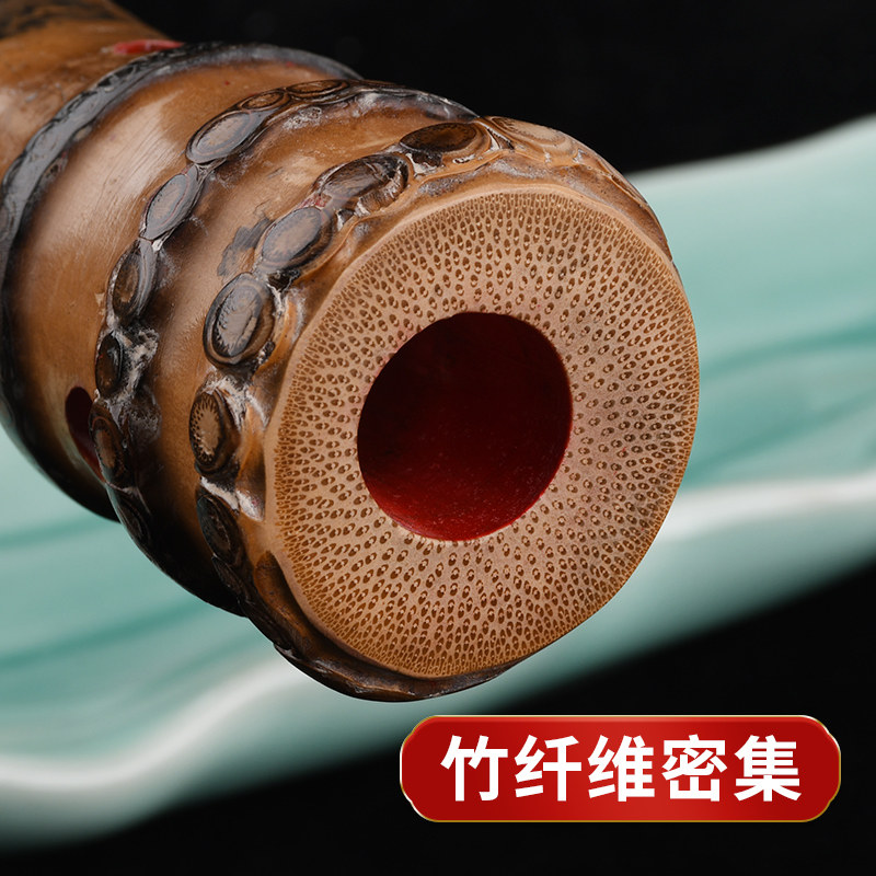 桂竹南箫专业演奏一节南萧 8孔初学洞萧笛6孔GF调大头竹根潇乐器