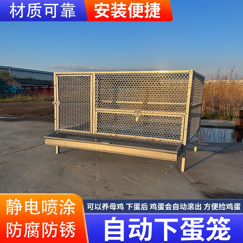 鸡笼子家用室外防雨自动收蛋防啄防黄鼠狼防鼠加厚不锈下蛋养殖笼