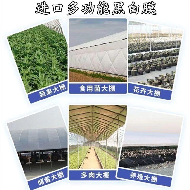黑白膜进口养殖大棚加厚防晒隔热抗老化反光膜食用菌棚膜青储棚膜