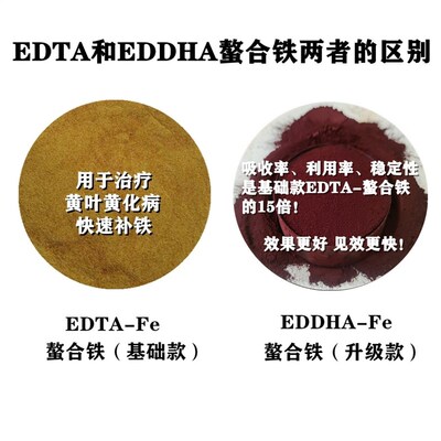 EDDHA-FE6螯合铁治黄叶缺铁补铁肥叶面肥黄叶变绿果树蔬菜黄化病