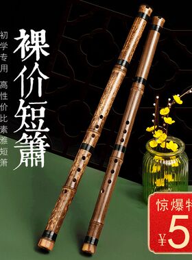 伶吟萧初学乐器紫竹一节短箫八孔G演奏F调专业洞箫笛送潇嘴助吹器