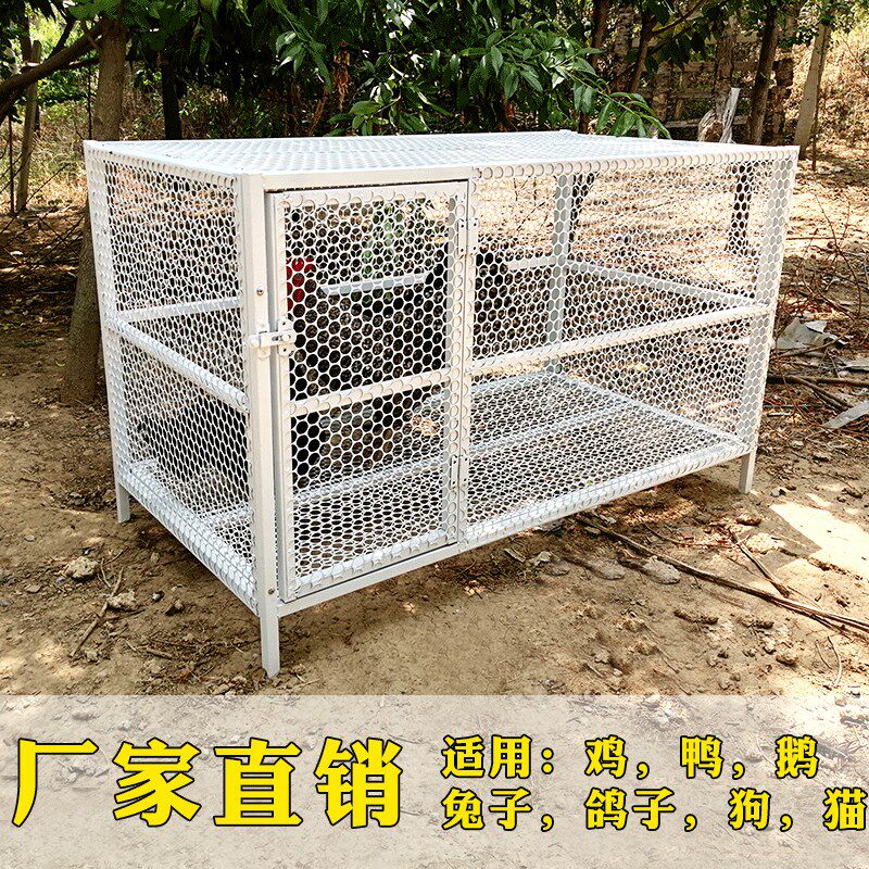 鸡笼柯尔鸭养殖家用大号特大室外田鸡鸽子山鸡兔子户外楼顶铁丝网