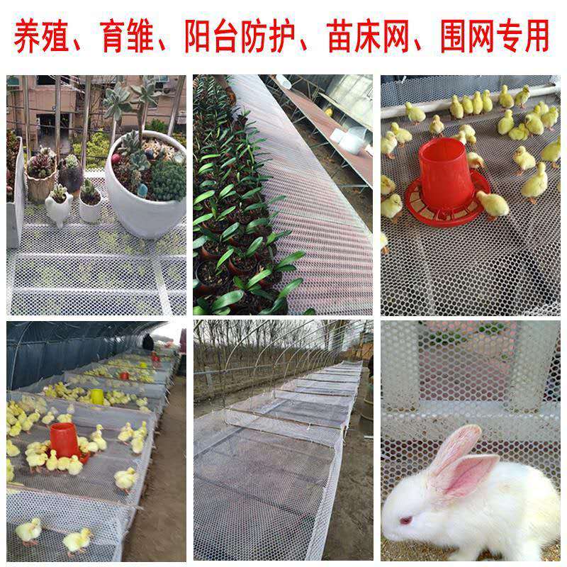 塑料网养殖围栏网养鸡鸭鹅苗育雏垫脚网隔离网阳台防护网格胶网片